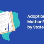 legal aid for adoption