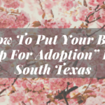 how to put your baby up for adoption in south texas