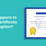 What Happens to a Birth Certificate After Adoption?