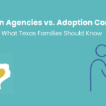 Adoption Agencies vs Adoption Consultants